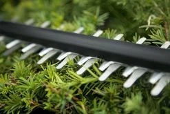 Bosch UniversalHedgeCut 18-50 Heggenschaar - Met 18 V Accu En Lader -Gardena Winkel 1200x800 29