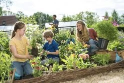 GARDENA Combisystem Bladharkje - Werkbreedte 12 Cm - 25 Jaar Garantie -Gardena Winkel 1200x800 292