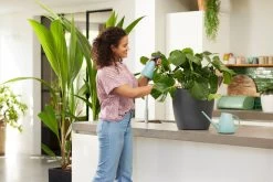 Elho Brussels Gieter 1,8l - Gieter Voor Binnenkweken En Oogsten - Ø 33.0 X H 17.0 Cm - Groen/Mint -Gardena Winkel 1200x800 361