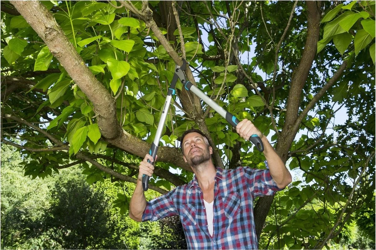 GARDENA EnergyCut Takkenschaar 75B - 42mm 3 GARDENA EnergyCut Takkenschaar 75B - 42mm - Afbeelding 3