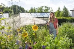 GARDENA - Comfort Broeskop - 5 Straalsoorten - Grijs -Gardena Winkel 1200x800 428