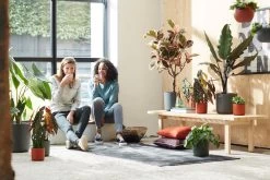 Elho B.for Soft Rond 25 - Bloempot Voor Binnen - Ø 24.7 X H 23.3 Cm - Antraciet -Gardena Winkel 1200x800 468