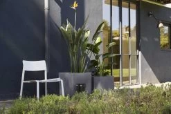 Capi Europe - Bloempot Vierkant Smooth NL - 50x50x50 - Zwart - Voor Binnen En Buiten - KBL904 -Gardena Winkel 1200x800 471