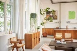 Elho B.for Swing 18 Hangpot - Bloempot Voor Binnen - Ø 18.0 X H 16.5 Cm - Groen/Blad Groen -Gardena Winkel 1200x800 475