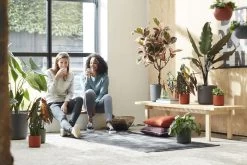 Elho B.for Soft Rond 35 - Bloempot Voor Binnen - Ø 34.5 X H 32.3 Cm - Antraciet -Gardena Winkel 1200x800 477