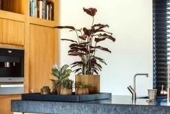 Capi Europe - Vaas Bol Groove XL - 39x33 - Goud - Bloempot Voor Binnen - Opening ⌀24 - GVGB270 -Gardena Winkel 1200x800 479