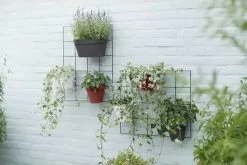 Elho Loft Urban Green Wall Rek 48 - Accessoires Voor Buiten - Ø 47.3 X H 59.0 Cm - Zwart/Living Black -Gardena Winkel 1200x800 484