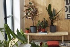 Elho B.for Soft Rond 30 - Bloempot Voor Binnen - Ø 29.5 X H 27.6 Cm - Antraciet -Gardena Winkel 1200x800 486