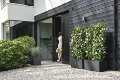 Elho Vivo Next Vierkant 30 - Plantenbak Voor Binnen & Buiten - Ø 29.5 X H 29.5 Cm - Zwart/Living Black -Gardena Winkel 1200x800 489