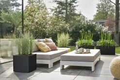 Elho Vivo Next Vierkant 30 - Plantenbak Voor Binnen & Buiten - Ø 29.5 X H 29.5 Cm - Zwart/Living Black -Gardena Winkel 1200x800 490