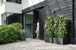 Elho Vivo Next Vierkant 30 - Plantenbak Voor Binnen & Buiten - Ø 29.5 X H 29.5 Cm - Zwart/Living Black -Gardena Winkel 1200x800 491