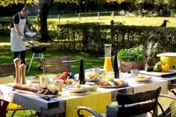 ByeByeFly - Vliegenverjager Voor Op Tafel - Vliegenvanger - Vliegenval - Tegen Vliegen - Vliegen Verjager - Zwart -Gardena Winkel 1200x800 506