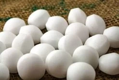 Mottenballen - Extra Sterk - Langdurige Bescherming - Yashika Mottenballen - 100 Gr - ± 25 Stuks