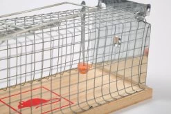 Set Van 2 Diervriendelijke Muizenval "Gabbia" - Inloopval - Muizenkooi - Ongedierteval - Ongediertebestrijding 12 Set Van 2 Diervriendelijke Muizenval "Gabbia" - Inloopval - Muizenkooi - Ongedierteval - Ongediertebestrijding -Gardena Winkel 1200x800 508