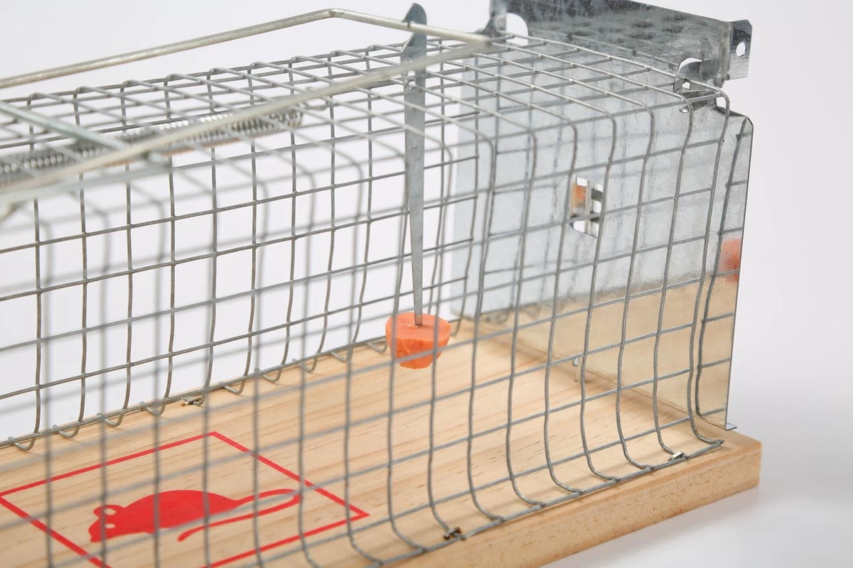 Set Van 2 Diervriendelijke Muizenval "Gabbia" - Inloopval - Muizenkooi - Ongedierteval - Ongediertebestrijding 4 Set Van 2 Diervriendelijke Muizenval "Gabbia" - Inloopval - Muizenkooi - Ongedierteval - Ongediertebestrijding - Afbeelding 4