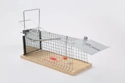 Set Van 2 Diervriendelijke Muizenval "Gabbia" - Inloopval - Muizenkooi - Ongedierteval - Ongediertebestrijding 14 Set Van 2 Diervriendelijke Muizenval "Gabbia" - Inloopval - Muizenkooi - Ongedierteval - Ongediertebestrijding -Gardena Winkel 1200x800 509