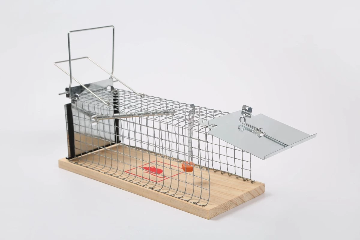 Set Van 2 Diervriendelijke Muizenval "Gabbia" - Inloopval - Muizenkooi - Ongedierteval - Ongediertebestrijding 6 Set Van 2 Diervriendelijke Muizenval "Gabbia" - Inloopval - Muizenkooi - Ongedierteval - Ongediertebestrijding - Afbeelding 6