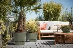 Elho Greenville Rond 30 - Grote Bloempot Voor Buiten - Gemaakt Van Gereycled Plastic - Ø 29.5 X H 27.8 Cm - Blad Groen -Gardena Winkel 1200x801 31