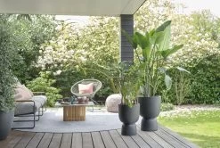 Elho Pure Coupe 41 - Bloempot Voor Binnen & Buiten - Ø 41.3 X H 57.9 Cm - Zwart/Zwart -Gardena Winkel 1200x805 3