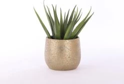 Mica Decorations Clemente Bloempot - H31 X Ø38 Cm - Terracotta - Goud -Gardena Winkel 1200x813 12