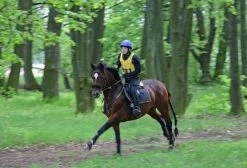 Aqua2Go GD86 Staand Electrische Pressure Washer - 20 Liter Tank - Afneembare Pomp -Gardena Winkel 1200x817 1