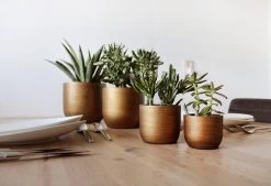 Capi Europe - Set Van 4 - Bloempot Binnen - Retro - - Goud - Bloempot Voor Binnen - BOX-BRTG-4 -Gardena Winkel 1200x820 9