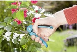 GARDENA - Classic B/S-M Bypass Snoeischaar - Ø 22mm - 25 Jaar Garantie -Gardena Winkel 1200x825 14