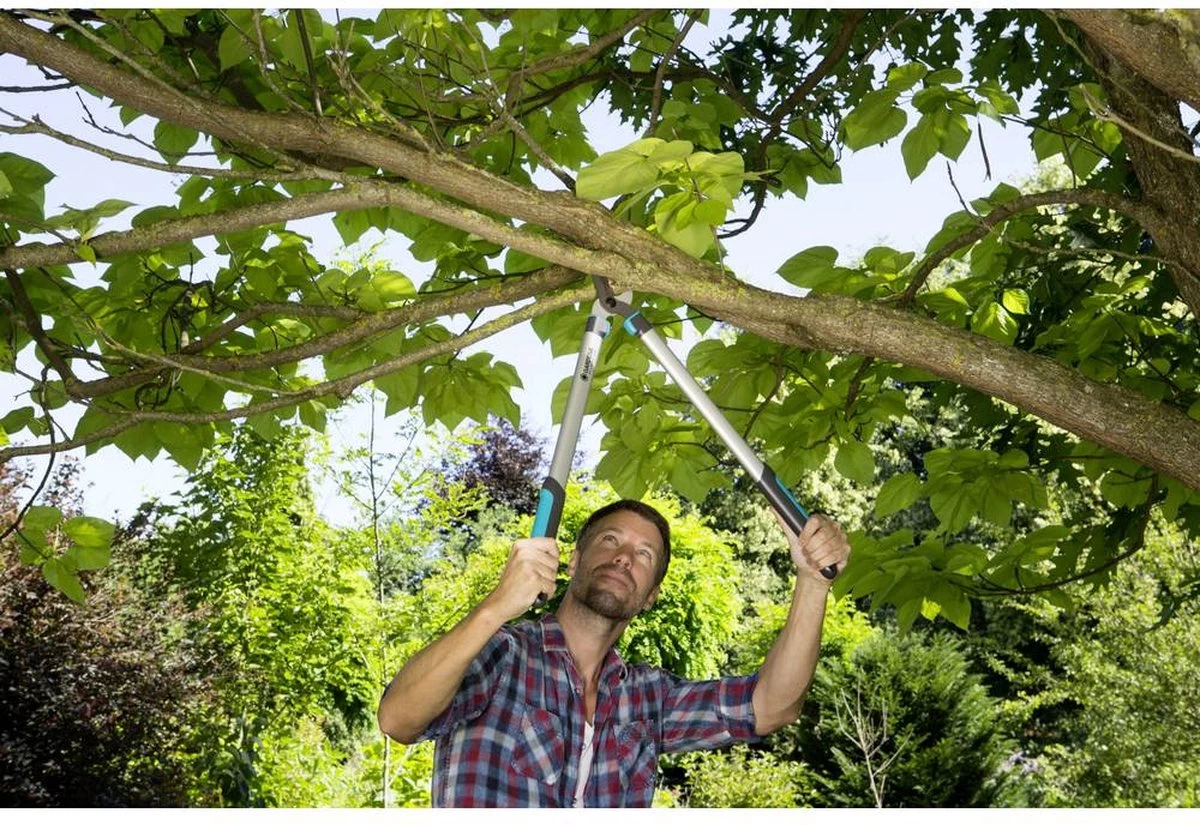 Gardena EasyCut Takkenschaar 68B + Classic Snoeischaar 8754 Display 1stuk 12003-30 2 Gardena EasyCut Takkenschaar 68B + Classic Snoeischaar 8754 Display 1stuk 12003-30 - Afbeelding 2