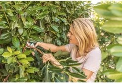 Bosch EasyPrune Accu Snoeischaar - 3.6 V Accu - USB -Gardena Winkel 1200x825 17