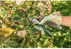 Bosch EasyPrune Accu Snoeischaar - 3.6 V Accu - USB -Gardena Winkel 1200x825 18