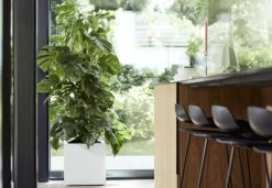 Elho Vivo Matt Finish Vierkant Wielen 40 - Grote Plantenbak Voor Binnen & Buiten - Gemaakt Van Gereycled Plastic - L 39 X W 39 X H 41 Cm - Wit -Gardena Winkel 1200x832 2