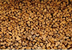 Steko Houtsplijter Voor Grote Blokken - Voor Aanmaakhout & Brandhout - Houtklover - Houtkliever - Splijtwig - Handmatig - Overal Te Gebruiken 1605 Gram - Metaal - Kloofwig - HOGE VOLUMEKORTING -Gardena Winkel 1200x837