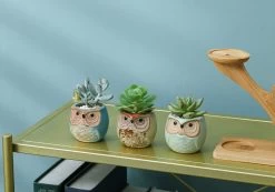 Luxe Bamboe Houten Boom Met 3 Keramiek Uil Bloempotten/Plantenpotten Op Standaard/Voet Voor Binnen En Buiten - Modern Design Bloempot/Plantenpot Op Poten/Pootjes-Plantenbak Mini Cactus Nep Plant Pot Houder - Kleine Bloembakken Plantenrek/Plantenkurk -Gardena Winkel 1200x840 5
