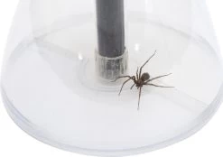 Spinnenvanger Bug Away Met 35 Cm Lange Steel -Gardena Winkel 1200x844 7