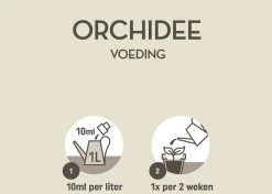 Pokon Orchidee Voeding - 250ml - Plantenvoeding - 10ml Per 1L Water -Gardena Winkel 1200x856 5