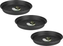 Elho Green Basics Schotel - Plantenschotels - 3 X 14 Cm Zwart