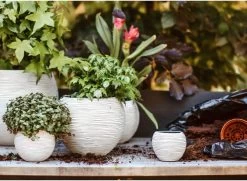 Capi Europe - Set Van 3 - Bloempot Binnen - Rib Ivoor -Gardena Winkel 1200x878 5