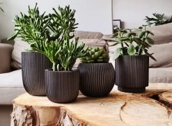 Capi Europe - Set Van 4 - Bloempot Binnen - Groove - Antraciet -Gardena Winkel 1200x881 3