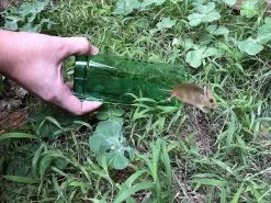 Pest Hunter™ Diervriendelijke Muizenvallen – 2 Stuks - Vangt Muizen En Ratten Levend - Humane Muizenval -Gardena Winkel 1200x900 106