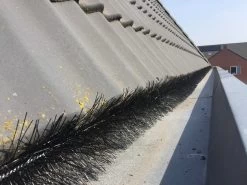 Vogelweringborstel En Dakgootbeschermer - Doos 16 Stuks - Totaal 16 Meter - Ø 15 CM - Anti Vogel Borstels - Vogelwering Zonnepanelen - Dakgootegel -Gardena Winkel 1200x900 112