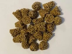 Ferrarium Planten Voedingstabletten (35 Stuks) - Plantenvoeding - Kamerplanten Voeding - Ecosysteem Voeding - Balkon Planten Voeding - Easytabs - Kamerplanten Voedingskegels