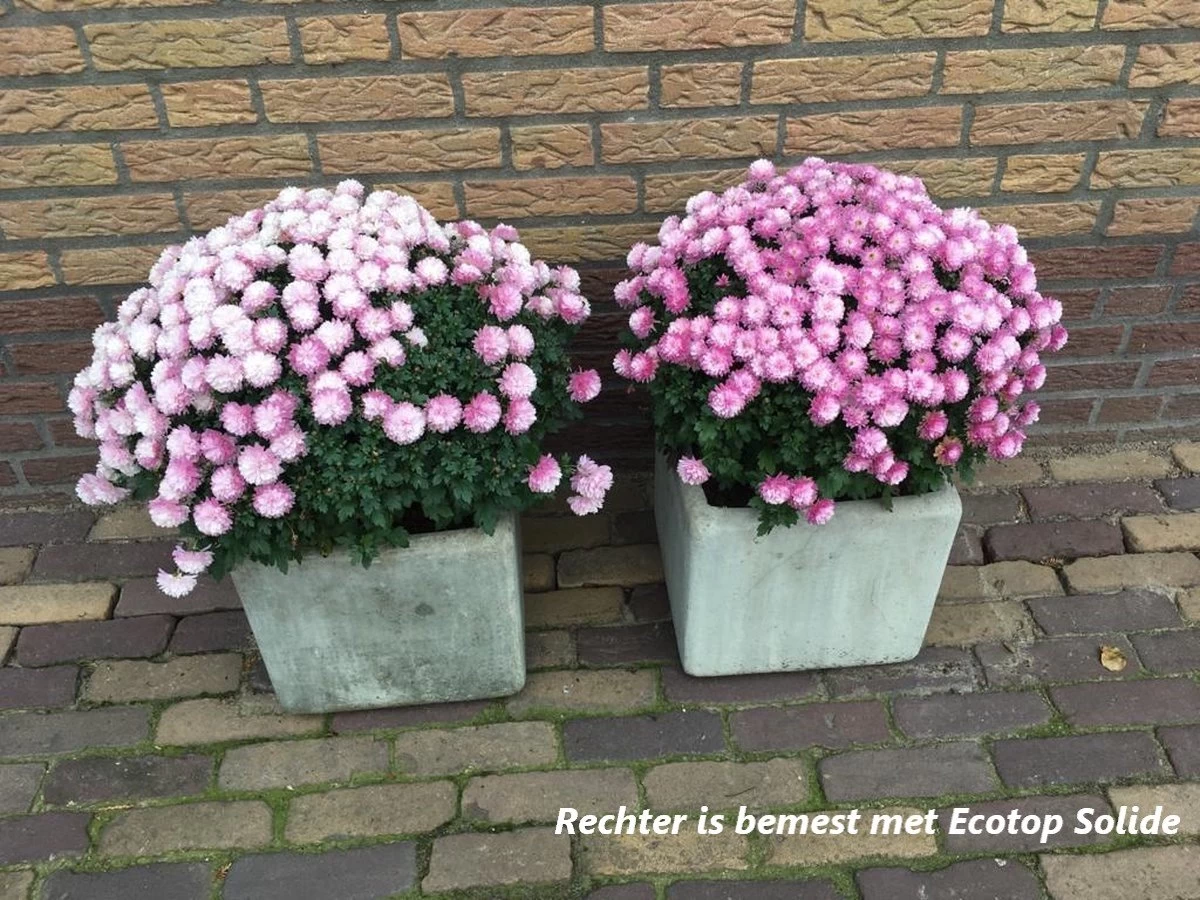 Ecotop Solide (Organisch / Tuinmest / Universeel). Meststof Op Basis Van Koemest Met Natuurlijke Toevoeging Van Wormenmest, Lavameel En Micro-organismen. Zak Ca. 40L. 2 Ecotop Solide (Organisch / Tuinmest / Universeel). Meststof Op Basis Van Koemest Met Natuurlijke Toevoeging Van Wormenmest, Lavameel En Micro-organismen. Zak Ca. 40L. - Afbeelding 2