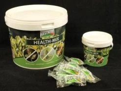 Topbuxus Buxus Health Mix -Gardena Winkel 1200x901 11