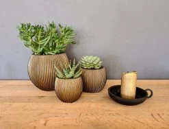 Capi Europe - Set Van 3 - Bloempot Binnen - Groove - - Goud - Bloempot Voor Binnen - BOX-BGVGB-3 -Gardena Winkel 1200x912 1