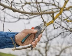 GARDENA - ExpertCut - Snoeischaar - 22 Diameter Tak -Gardena Winkel 1200x929