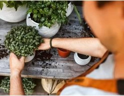 Capi Europe - Set Van 3 - Bloempot Binnen - Rib Ivoor -Gardena Winkel 1200x930 4