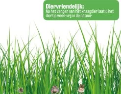 Forgoods Muizenval - Diervriendelijke Muizenval Voor Binnen En Buiten - Rattenval - Met Schoonmaakborstel - Model 2023 -Gardena Winkel 1200x931 6