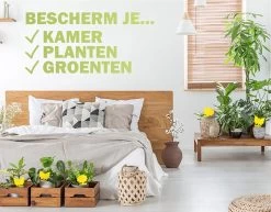 Professor Q - Rouwvliegjes Bestrijden - Fruitvliegjes Vanger - Varenrouwmug Bestrijden - Vliegenvanger - Plak Klavertjes Tegen Rouwvliegen - Vangplaten - 3 Stuks Vlinders -Gardena Winkel 1200x939 10