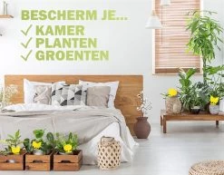 Merkloos Rouwvliegjes Bestrijden - Fruitvliegjes Vanger - Vliegenvanger - 24 Stuks -Gardena Winkel 1200x939 8