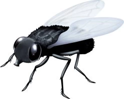 Vapona Vliegenvanger Vliegenval - Insectenval - 4 Stuks -Gardena Winkel 1200x957